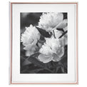 Rosy Glow™ 8" x 10" Frame